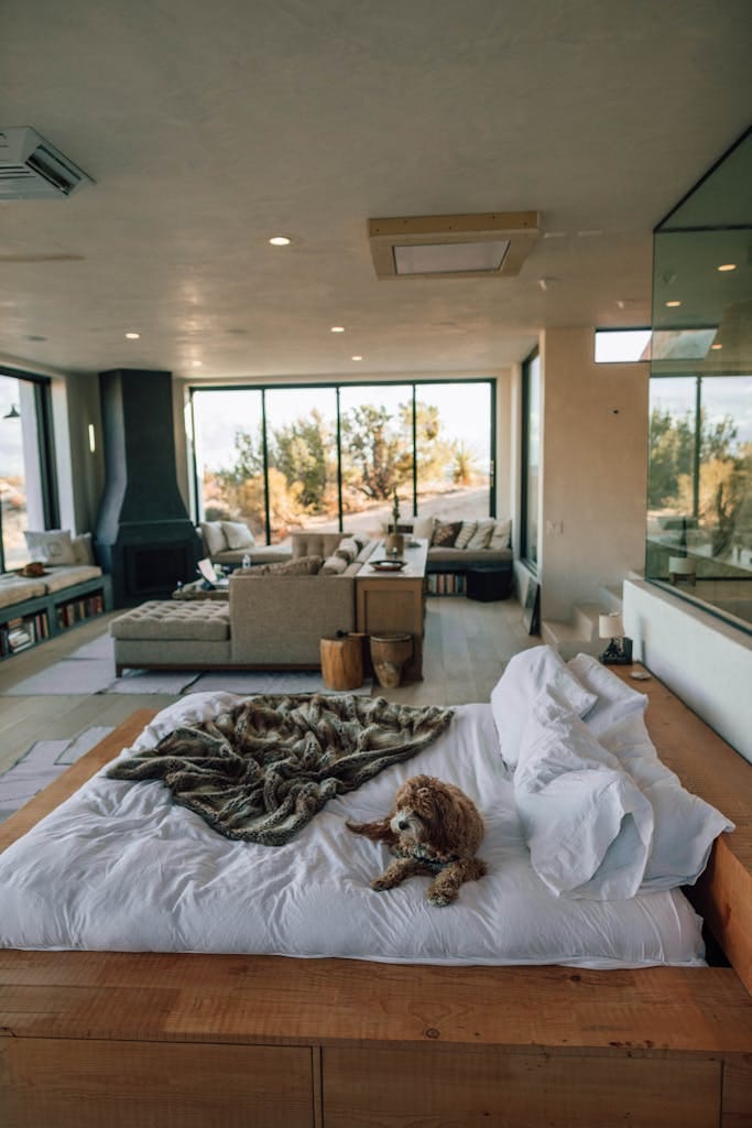 A contemporary Joshua Tree bedroom with plush bedding, stylish decor, and scenic views refinancing in Perth
