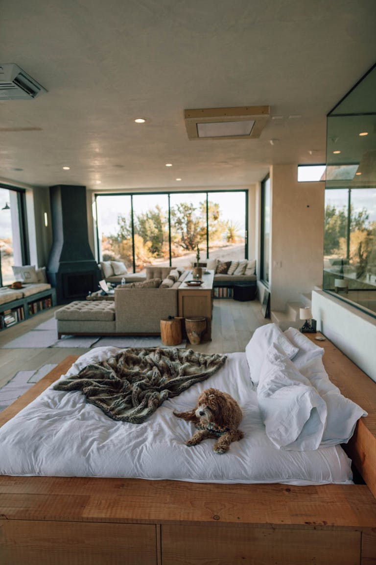 A contemporary Joshua Tree bedroom with plush bedding, stylish decor, and scenic views refinancing in Perth